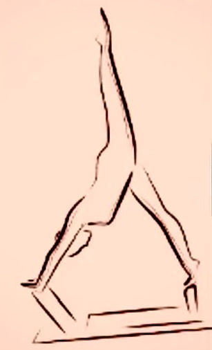 Ronit InMovemeant logo_edited.jpg