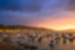 Lyme Regis Harbour at sunrise