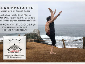 Kalarippayattu Workshop