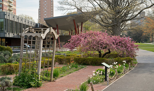 Queens Botanical Garden