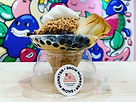 Snow Monster Shaved Ice Cream