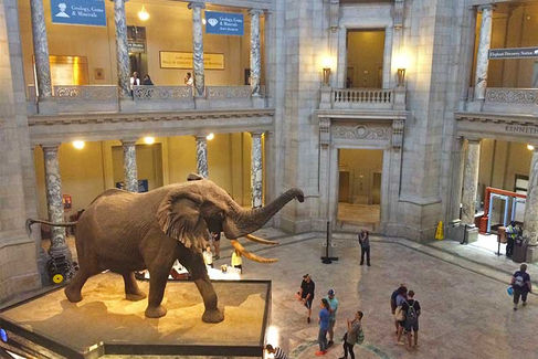 Washington DC With Family: 2-Day Itinerary