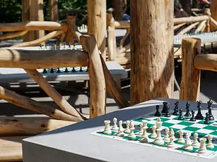 Chess & Checkers House