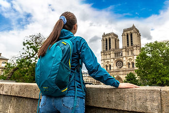 Notre Dame Walking Tour With Underground Crypt