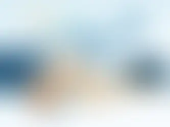 Climate Controller for Broiler House Performance