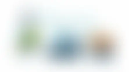 Manual Bird Weighing Tools That Still Work