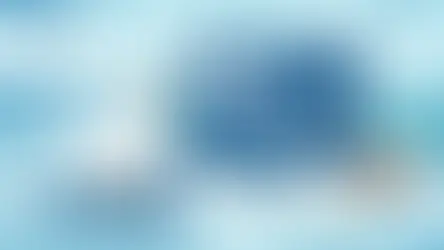 Bird Weighing System for Poultry Farm Use