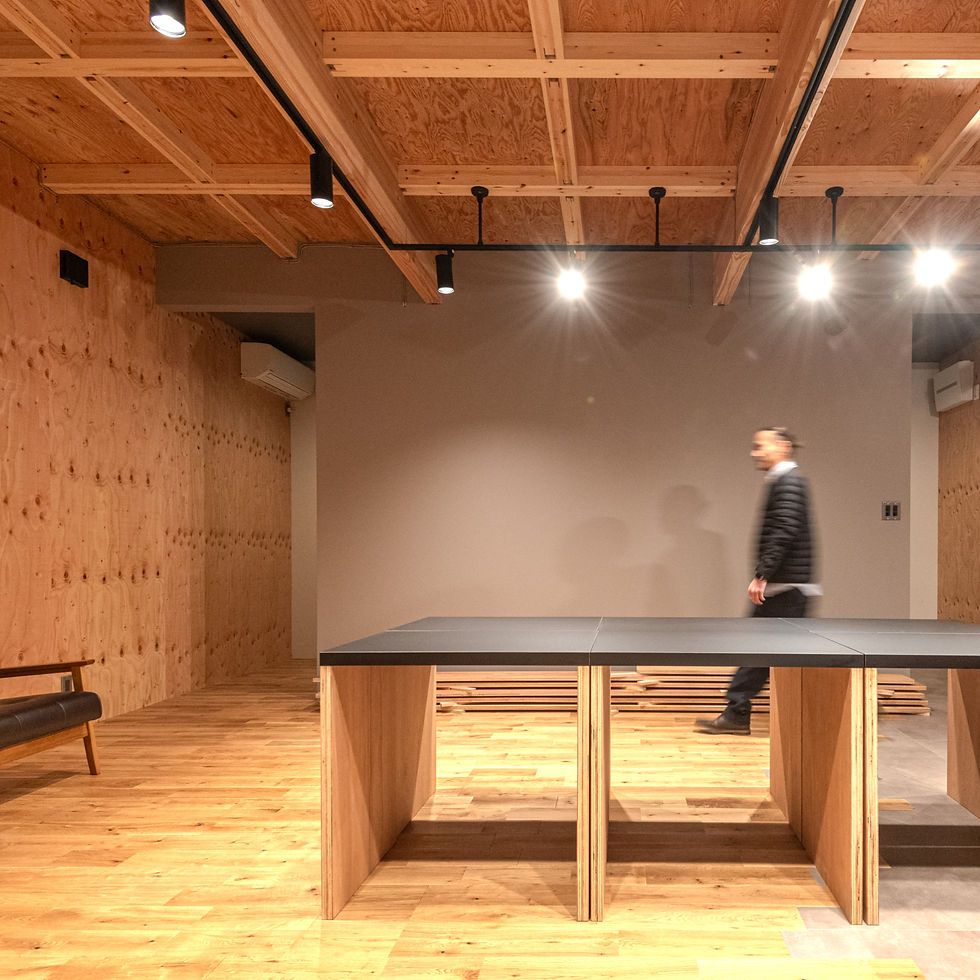 HAIR LABO RADITE2 SHIOI