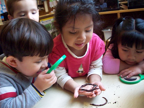 Batavia worm scientists.JPG