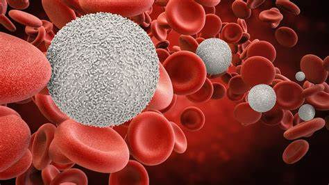 Haematology System