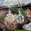 Thumbnail: Chakra Mandala Silver Earrings