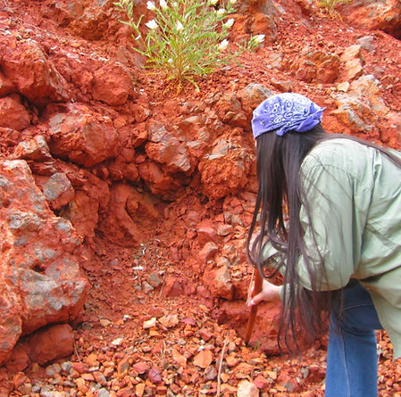 Using-a-digging-stick.jpeg