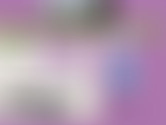 Calling All Charity Bookkeepers & Accountants!