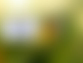 Analyse de cycle de vie pour les designers : comment ça marche ?