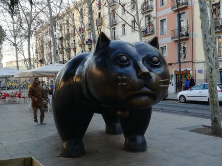 Gigantic Cat in the middle of the Gothic Quarter