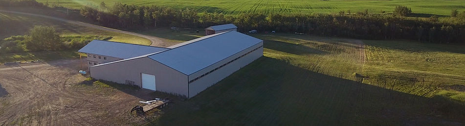 indoor riding arena and horse stable