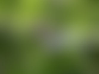 Practice what I preach