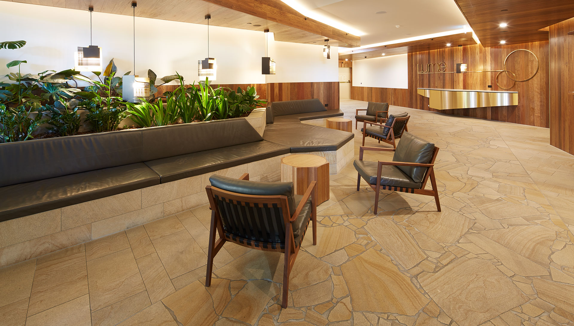 25 Shafston Avenue, Kangaroo Point - Thumbnail 3