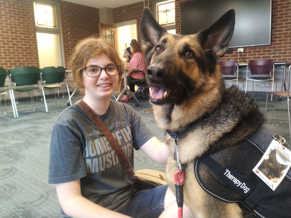 Transform Lives: The Power of Therapy Dogs