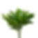 Greens