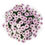 Thumbnail: Poms