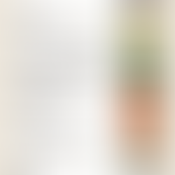 The 9 best foods for eye health