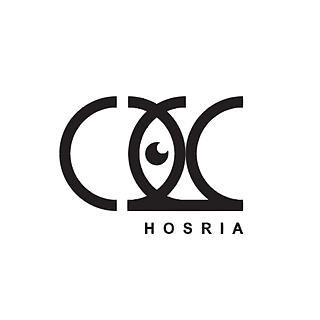 صورة الكاتب: Alaa Hosria