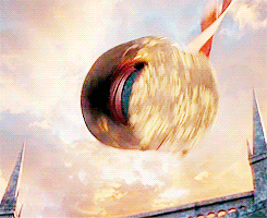 giphy (2).gif