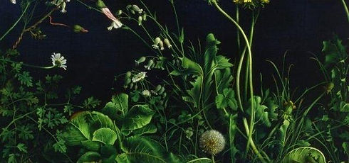 maurizio_bottoni_zollanotturna_arte-640x300.jpg
