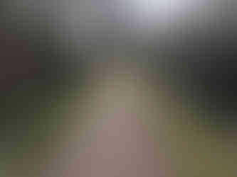 Stroudwater Canal Towpath, Ryeford, Stonehouse, Stroud, Cotswolds