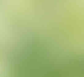 Cotswold Snowdrops Flower and Leaf detail, Textile Artwork, Applique, Sue Bateman Textiles