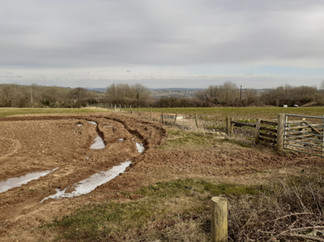Frozen Tinkley Lane from Nympsfield to Forest Green, Nailsworth 2021