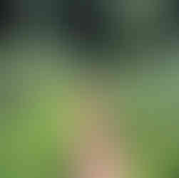 Greenman Summer Ultra 2021, Bristol, the final climb!