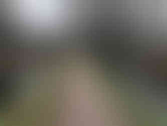 Stroudwater Canal Towpath, Ryeford, Stonehouse, Stroud, Cotswolds