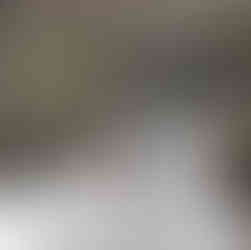 Signs of Spring, Ruskin Mill, Nailsworth, Cotswolds