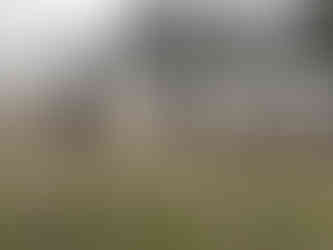 Dairy Farm at Nympsfield, Cotswolds