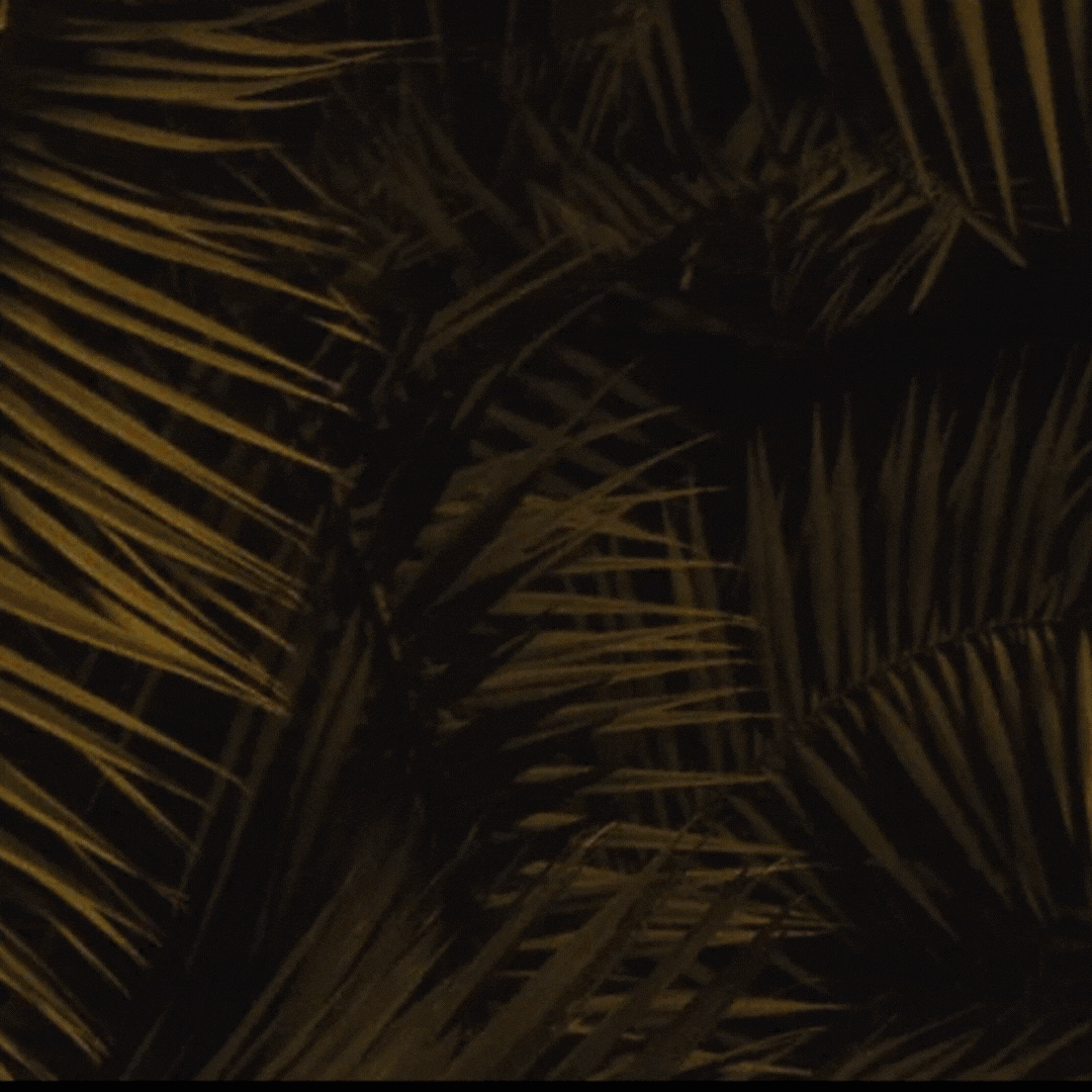 PALMS: Upscale Saturdays