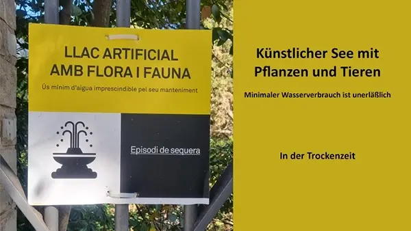Astrid zu Stolberg im Sommer 2023 in Barcelona