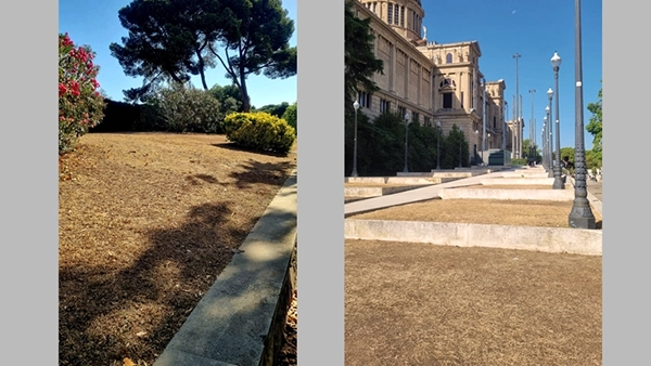 Astrid zu Stolberg im Sommer 2023 in Barcelona