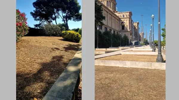 Astrid zu Stolberg im Sommer 2023 in Barcelona
