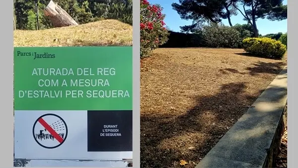 Astrid zu Stolberg im Sommer 2023 in Barcelona