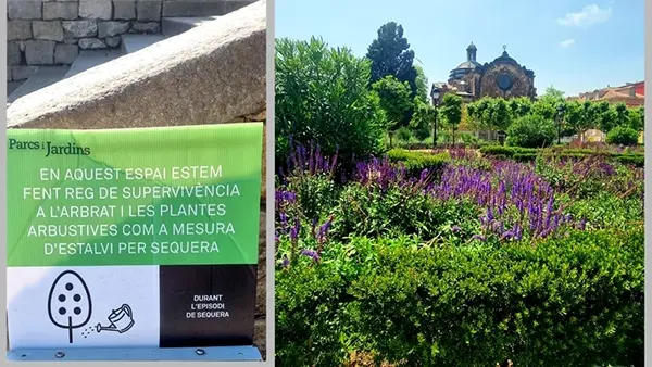 Astrid zu Stolberg im Sommer 2023 in Barcelona