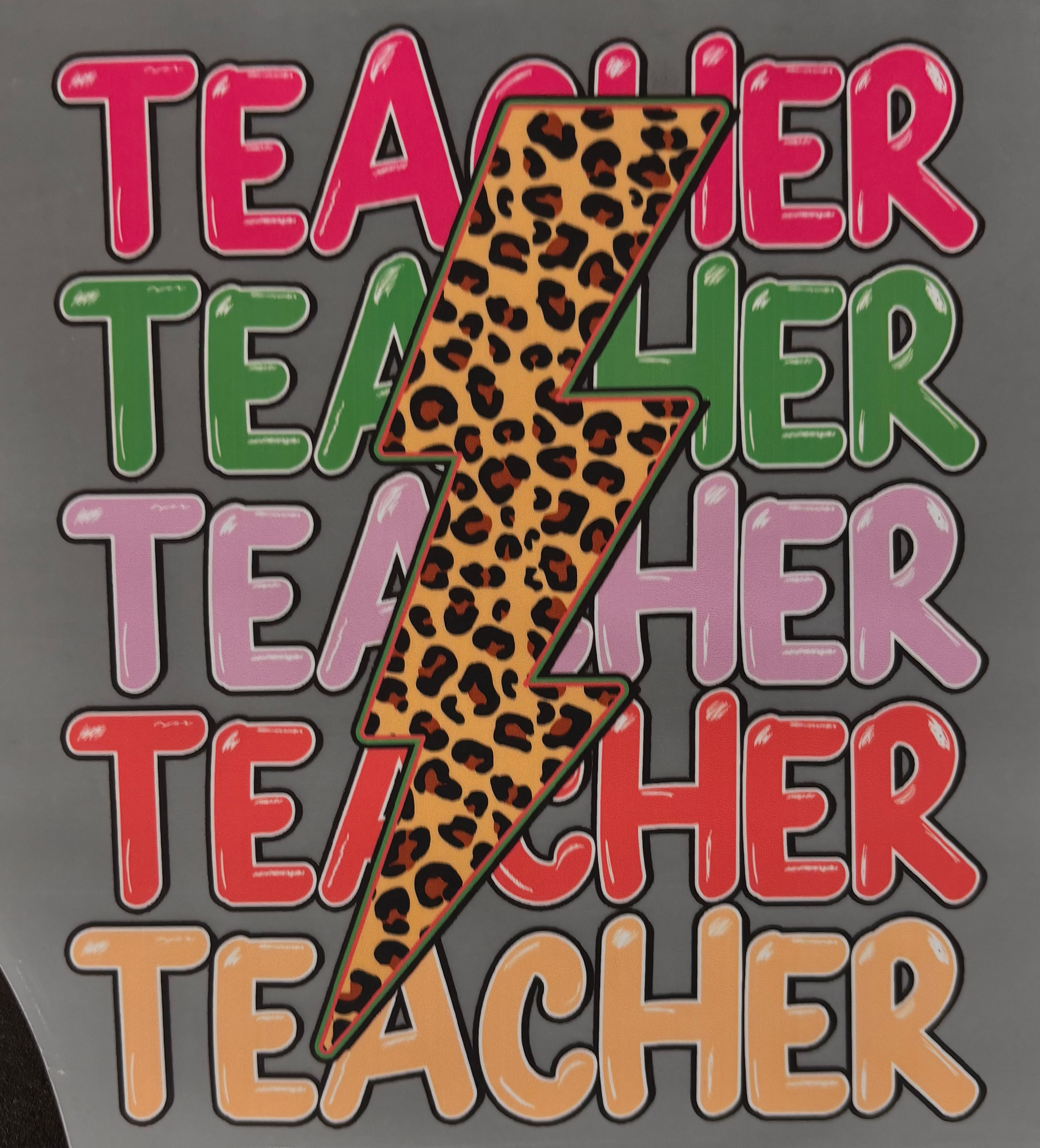 Teacher Vinyl - 19