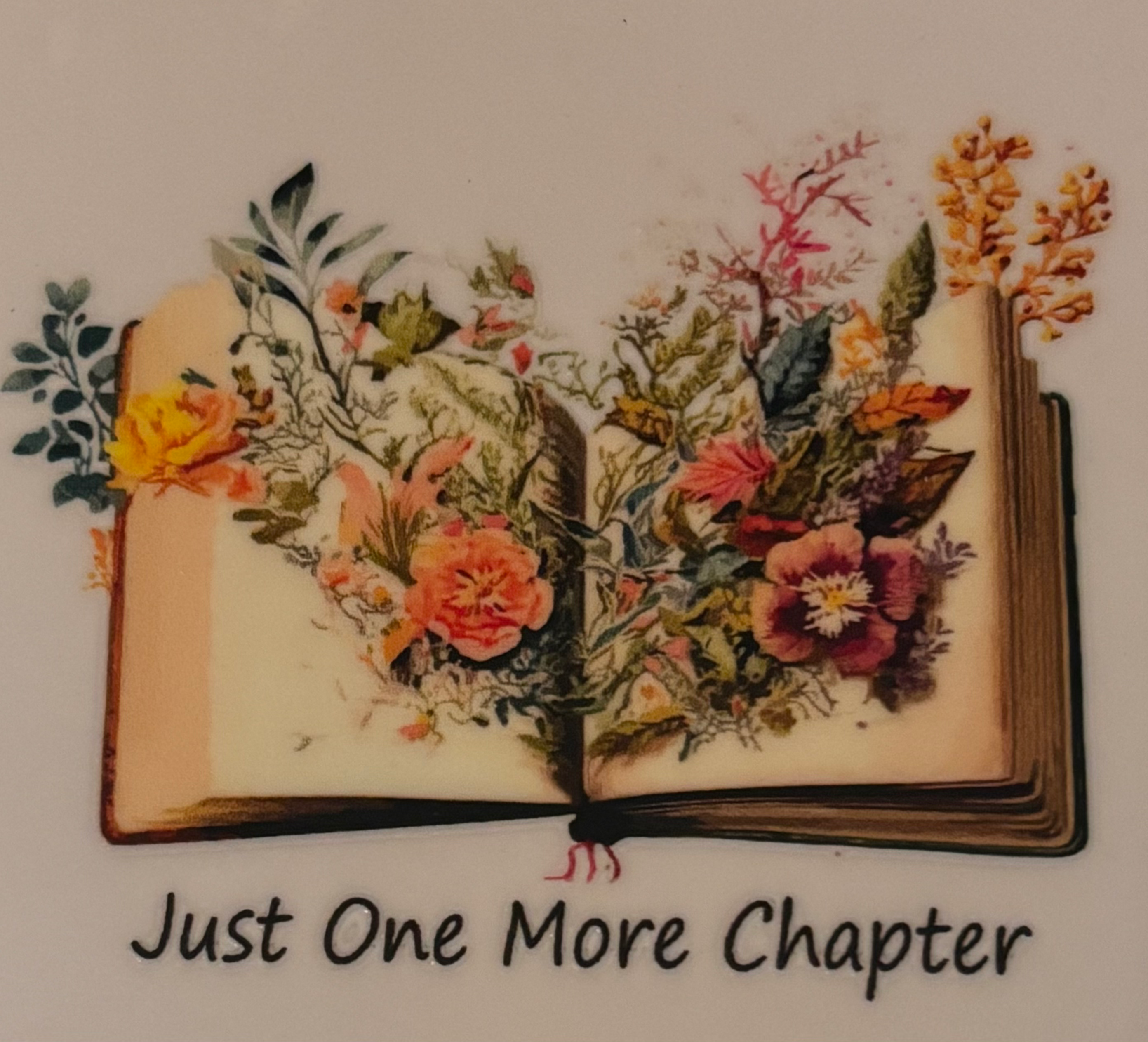 Book Transfer - 11