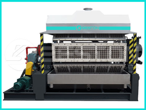 Automatic Egg Tray Machine - Key Features To Learn