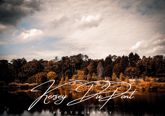 8CCBCF2F-5182-4C9B-A710-82A7B05407FB.PNG