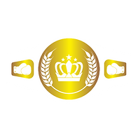 muay thai belt