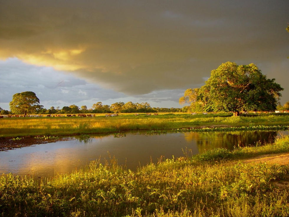 Paisagem da fazenda