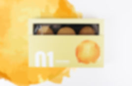 ginger with background jpg.jpeg