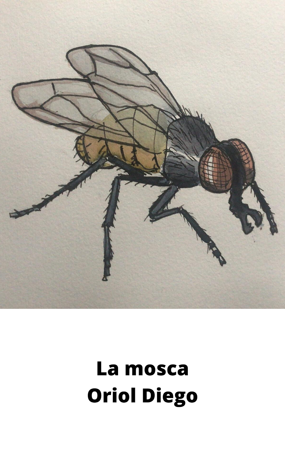 LA MOSCA